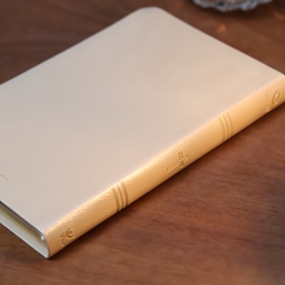 image_0cd04f71-977e-4e3c-8bb2-caa8b428ac50