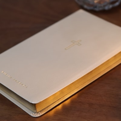 image_3240169d-9159-4686-8a98-e50fd3c20527