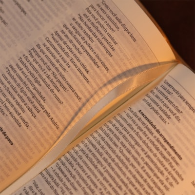 image_4c007ec5-143f-43c9-816a-a5a719ebcd78