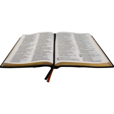 image_a3513064-1afc-4c1a-9612-6c4dd44128f9