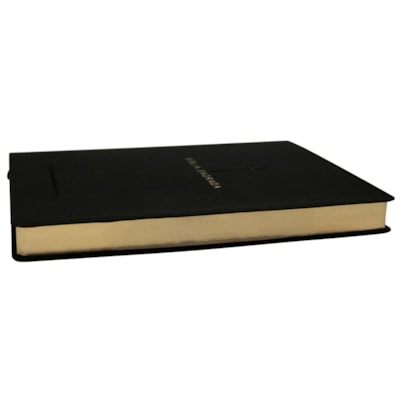 image_aa684597-a8c9-4d50-b551-791da103acee