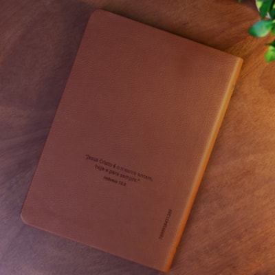 image_942a08be-a0a6-4680-9e23-1743c42d3dbf