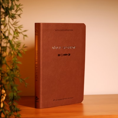 image_07bf8249-53dd-4dc0-8db6-7e042259944b