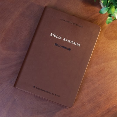 image_7abf4430-6848-46f2-b443-f549b3150035