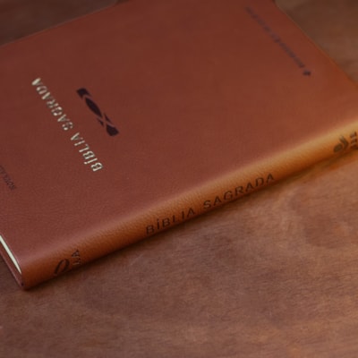 image_a63b12f8-f8b0-4262-9073-c509cbee62c3