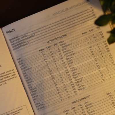 image_86780850-4e36-4b18-bf3e-f36ba94ba1d4