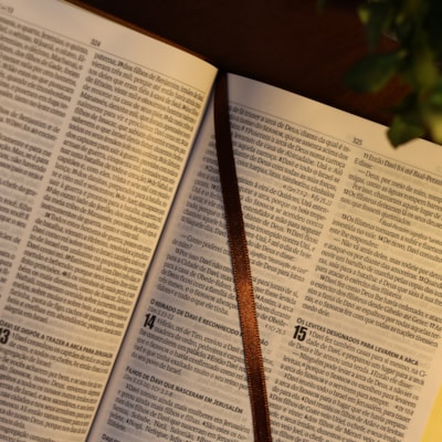 image_799f0806-df91-4885-ab5c-7752ac61505a