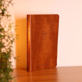 Segunda imagem do produto Bíblia Sagrada Slim | NAA | Marrom