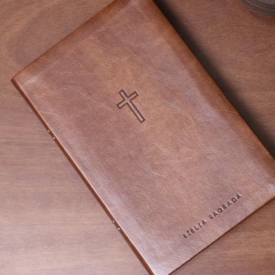 image_931cda38-3705-41d7-8ca1-2d50199d3522