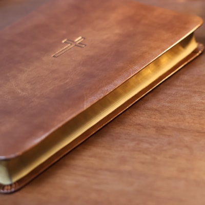 image_dfa05c5a-8447-477f-ad14-cd777546c608