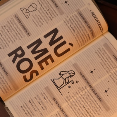 image_d714dbba-32a4-416d-9b8c-08b6e9cfc609