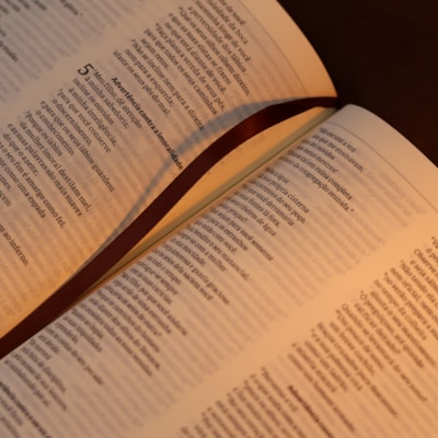 image_de22a678-426f-4336-8f4f-5dde9db8fcd9