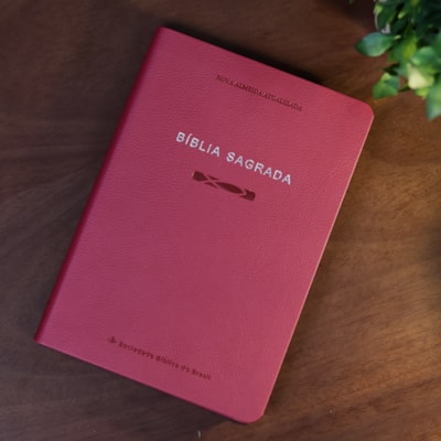 image_34c6f520-3d06-48f4-aa98-dd8f5ed8e7b8