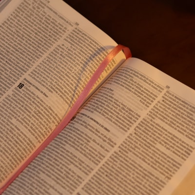 image_1d05928d-20db-4903-9388-b56e0ff4783a