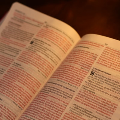 image_bfec5fc0-9850-4cd1-a6d0-a2eefa1b779e