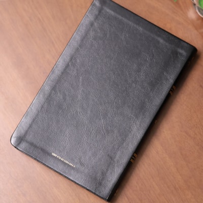 image_7577eba3-90b8-42e0-b831-8711f2b1743e