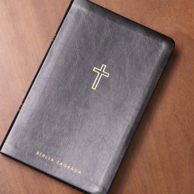 image_6438faf2-8c1b-4095-a9db-1546bda3777c