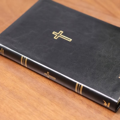 image_827aabc6-cf29-4eee-922b-4073d2d6e995