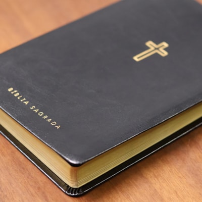 image_c4fb9dd8-607d-4799-9007-8df4c9aa459f