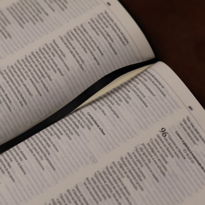 image_5688f865-bcc9-48fc-9054-98126fa70f0d