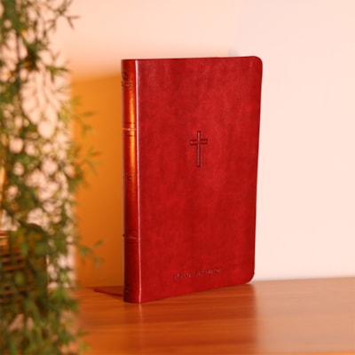 image_201d8c4b-267c-4058-84bb-3e2ed7f9fee2