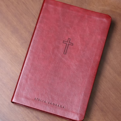 image_2641b552-c264-4ec4-bf0d-4122738d47a5