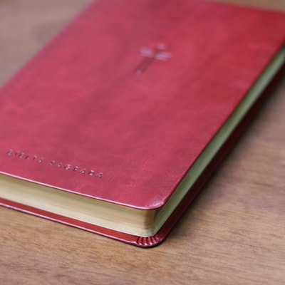 image_ac0787ce-b4d7-47ca-9fec-5e2bd0c5b83a