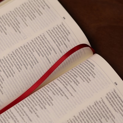 image_9ec6933f-3044-4c1b-8733-6f075a1d24c6