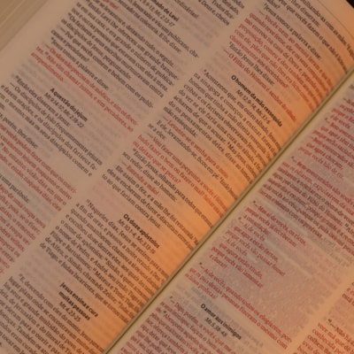 image_fa0643b7-fdd5-492a-aac8-dda5c23bff98