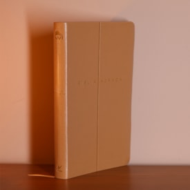 Segunda imagem do produto Bíblia Sagrada Slim | NVI | Bege