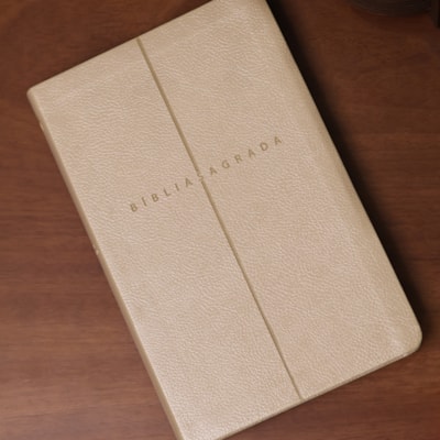 image_a77bc153-e093-4685-acd0-685eeb6fc2c4