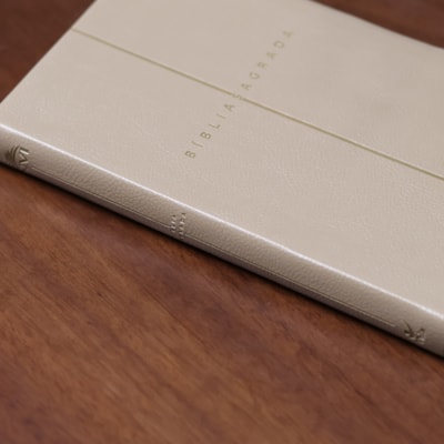 image_40d4fc2c-b688-46a3-befd-1559753fd6e1