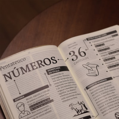 image_6740a8f1-769b-4c99-a65a-e51eb40230d7