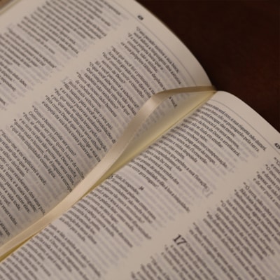 image_ae70772f-b7c2-4d2a-838e-254475b9045e