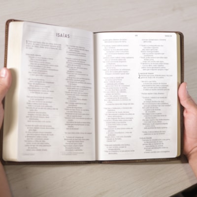 image_a6ac373c-09ab-4f28-8091-905620abf2d0