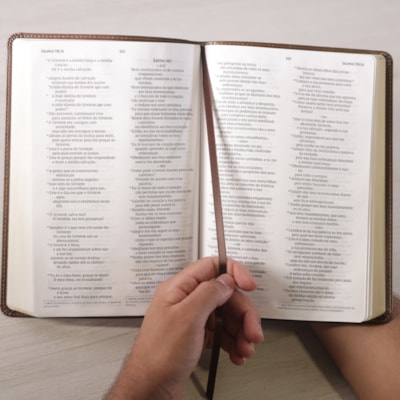 image_3595e3ca-994c-435e-9dd6-042487ea0768