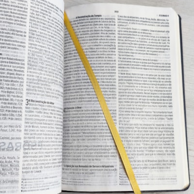 image_68bc31bb-aaa9-41c7-afec-d074387682f2