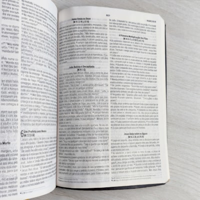 image_f07cf4dc-f3f7-442e-a37d-474e144a1110