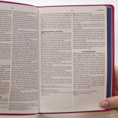 image_2da795bd-0236-4fa0-b47e-1411e325ce4a