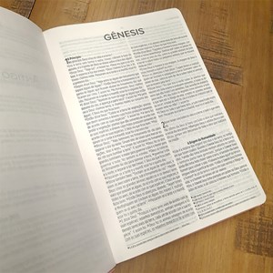 Bíblia Sagrada Slim | NVI | Letra Maior | Capa Luxo Nude