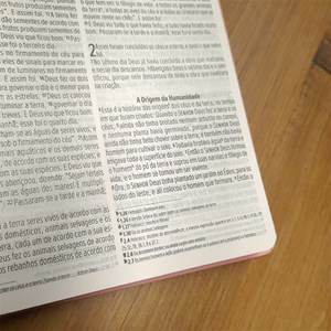 Bíblia Sagrada Slim | NVI | Letra Maior | Capa Luxo Nude