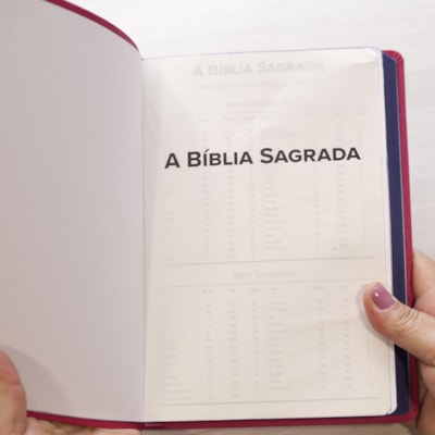 image_b0a30a1b-77c0-4605-aceb-d12b5627872a