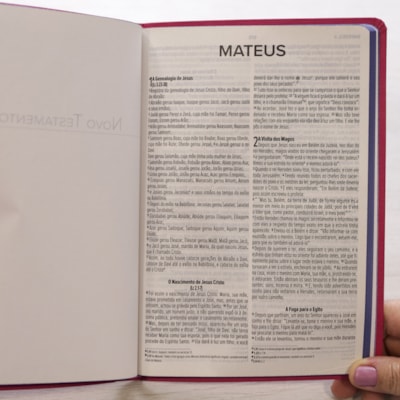 image_59663cb2-e6c0-486a-9415-a3640657cca1