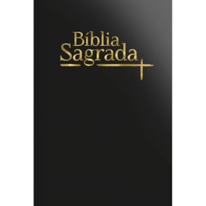 Bíblia Sagrada Slim | NVI | Letra Maior | Capa Luxo Preta