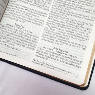 image_2d02c95b-f428-4f90-8399-cfbc19cbc60c