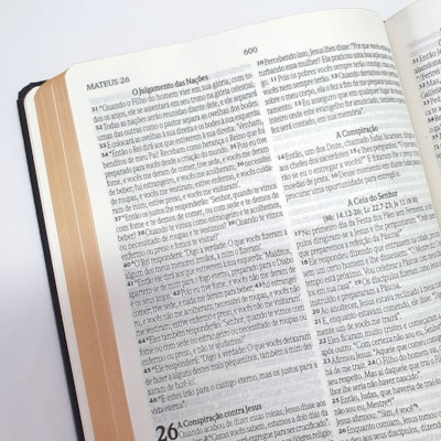 image_806b1406-7572-4705-96e9-cc8bb6218d26