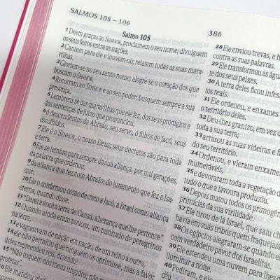 image_9011f98a-a8bc-4954-ab7a-3e659d3f0f71