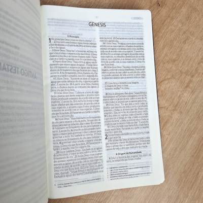 image_ba27656f-aebb-483f-b38c-627edb60579f