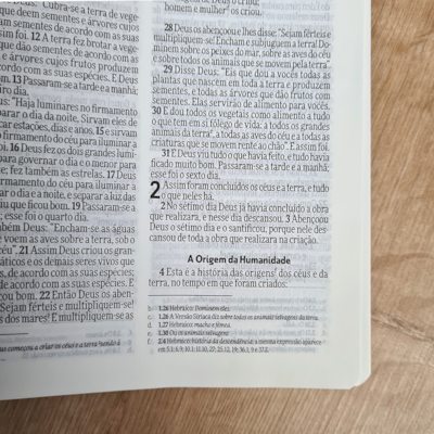 image_4841cea7-ba65-464b-8fd7-25296fb47f2d