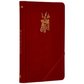 Bíblia Sagrada Slim | NVI | Luxo Tecido Cereja | Capa Dura | Com Elástico Transversal